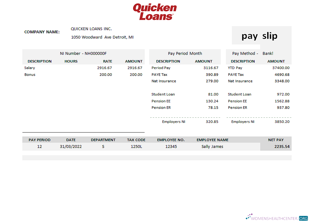 Download USA Quicken Loans Inc. mortgage loan company pay stub Photoshop template
